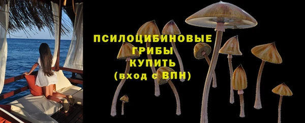 дмт Грязовец