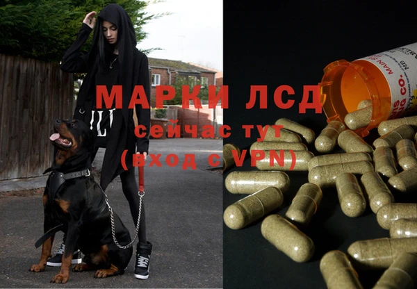 кокс Абаза